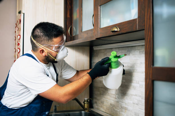 Best Wasp Removal Services  in Valparaiso, IN