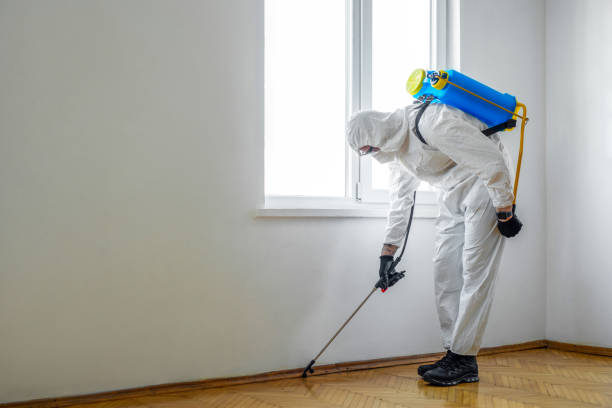 Wasp Removal Services in Valparaiso, IN