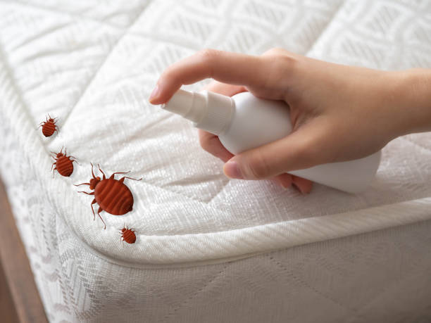 Best Commercial Pest Control Services  in Valparaiso, IN